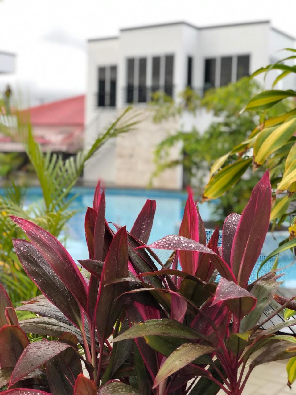 Tucan Resort & Spa パラマリボ エクステリア 写真